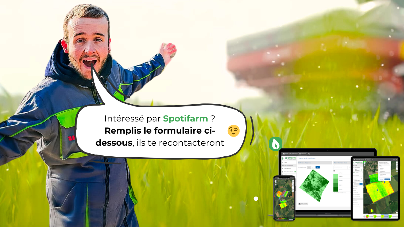 Zyro Spotifarm (5)